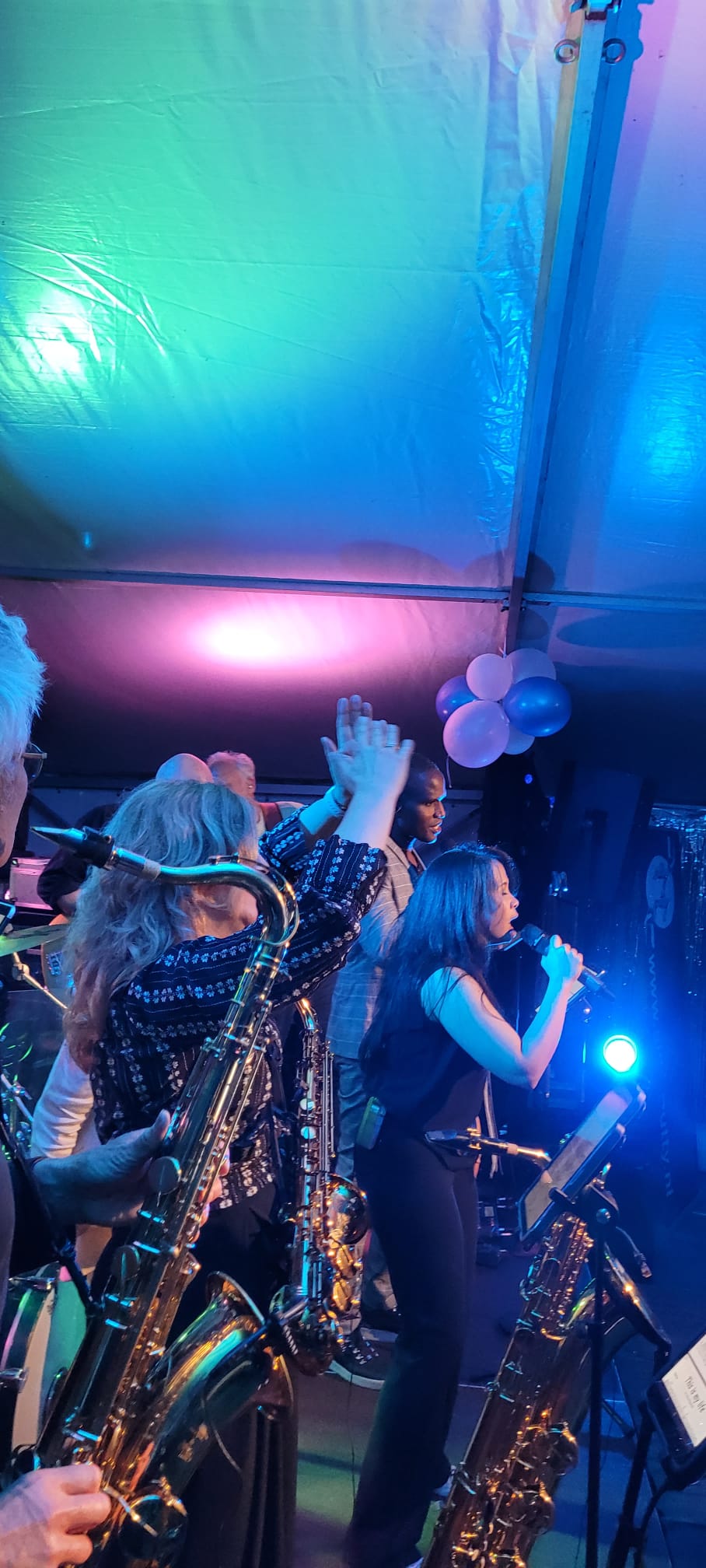 Feest Hellen & Aart -Sfeerimpressie
